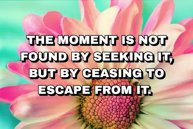 The moment is not found by seeking it, but by ceasing to escape from it.