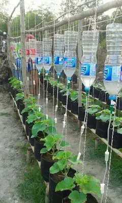 Contador de Gotas com Garrafa pet para Mudas de Plantas