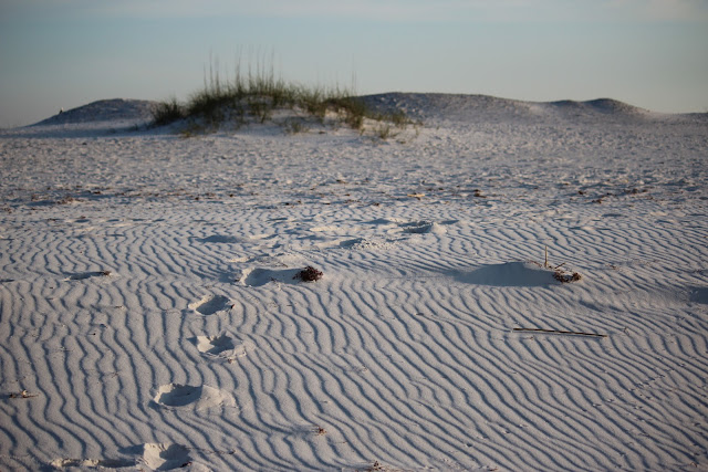 Pensacola Beach, FL