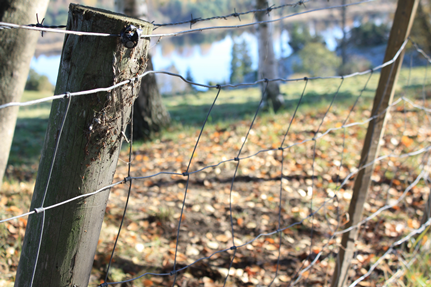 natur6