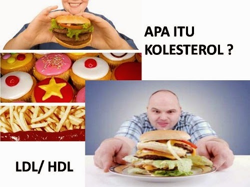 Kolesterol