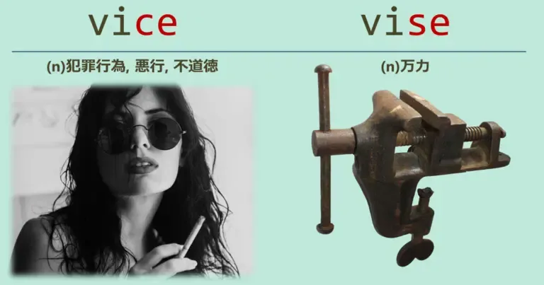 vice, vise, スペルが似ている英単語