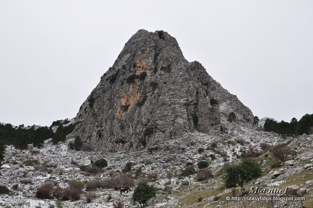 Circular nevada Grazalema - Llanos del Endrinal - Puerto de las Presillas - Puerto del Boyar