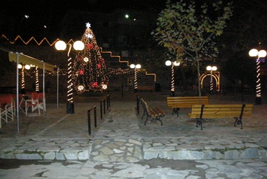 Σκουπίδια - στολισμός 11-12-09 012