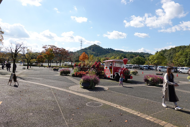 鳥取県西伯郡南部町鶴田　とっとり花回廊