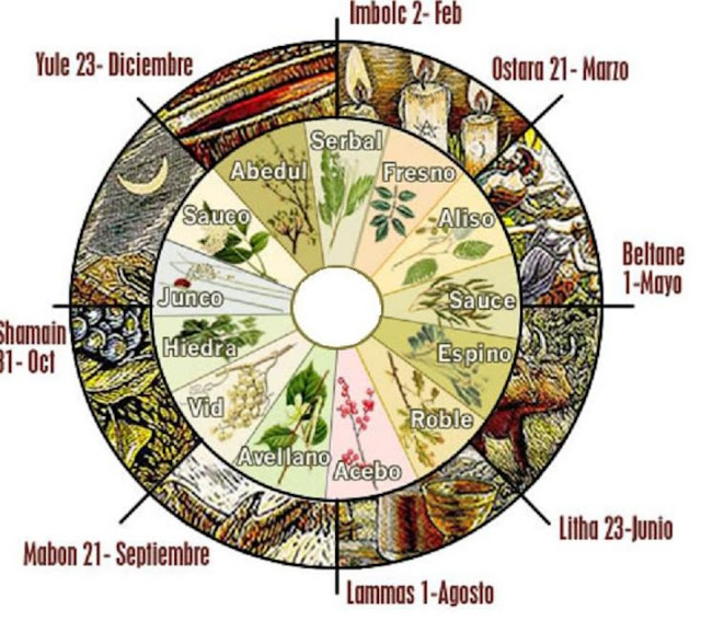 Risultati immagini per alberi ruota celtica