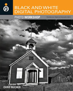 Black and White Digital Photography Photo Workshop (English Edition)