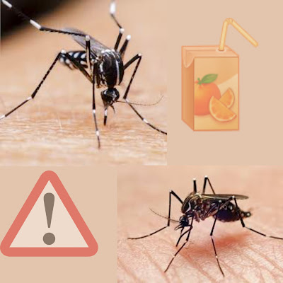 What compels a mosquito need to whittle down you?