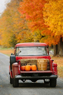 sonbahar kamyonet bal kabağı pumpkin