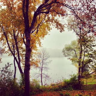 Mist and trees on the shore of Lake Schmidt at Salem Green Apartments