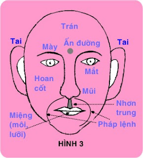 xem tướng qua mắt - miệng -tai