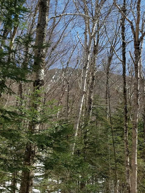 Early Spring ascent of the Mount Flume Talus Slide