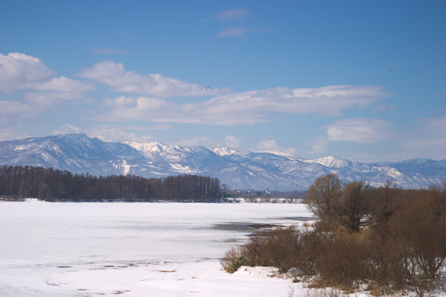 北海道の春