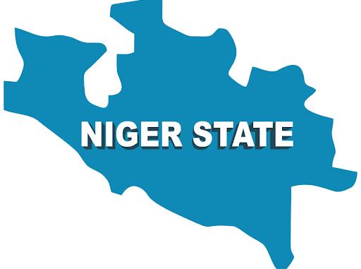 Niger guber: Politicians ask voters to swear for spaghetti, gifts