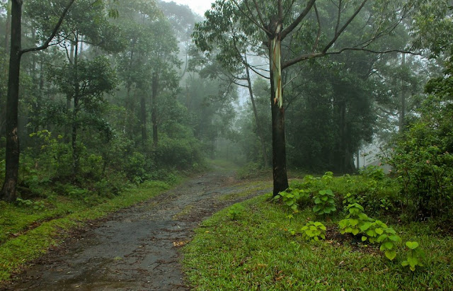 Manjolai Trekking Spots