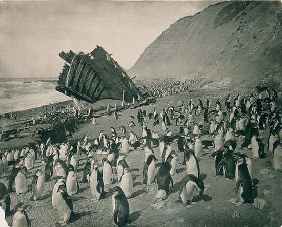 antarctica_100_years_later_08