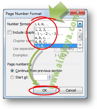                                                     Ahli Matematika Cara Memberi Nomor Halaman Romawi Pada Microsoft Word