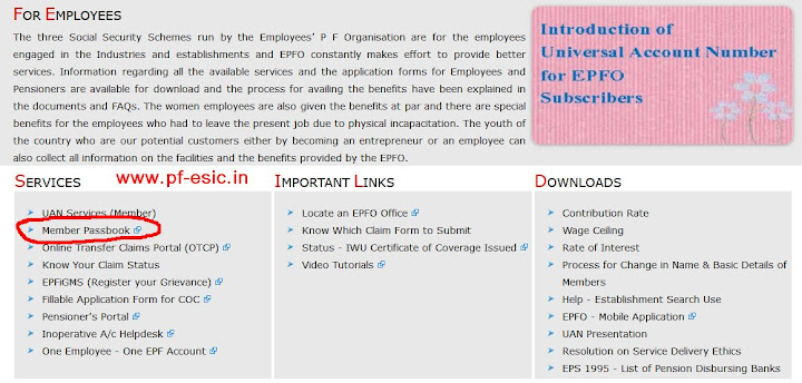 Employees page on EPFO site