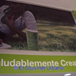 Ver álbum
