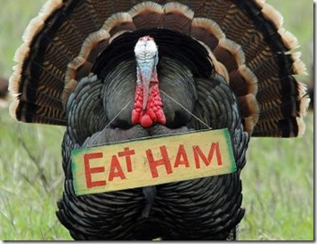 Eat Ham