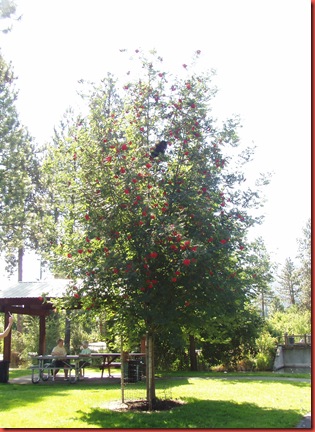 august 044