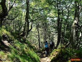 Por el Bosque