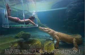 ワニと泳ぐ水族館