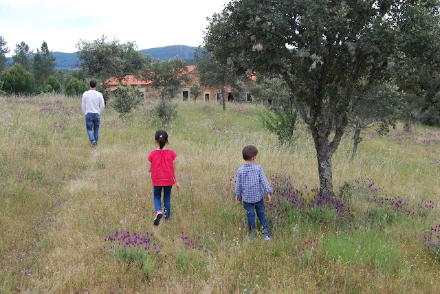 Campo en primavera con flores silvestres. Hay un padre y dos niños paseando y una casa al fondo.