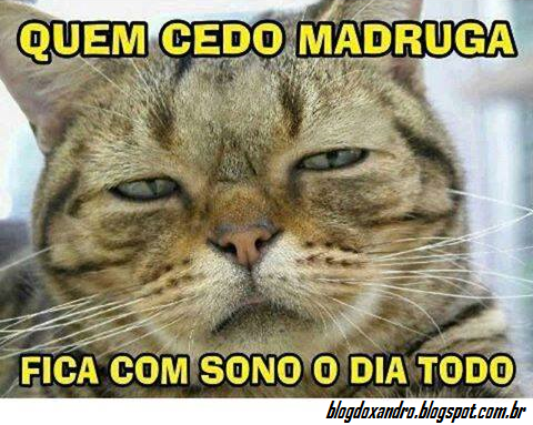 madruga.png (480×383)