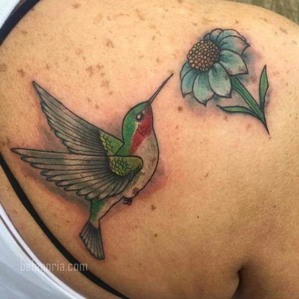 imagen del Tatuaje de un Colibrí