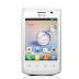 FLASH LG E410