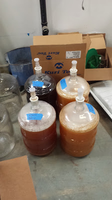 The four versions, the color difference is all the microbes and fermentation.