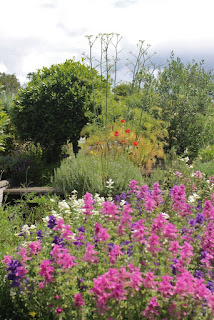 A colourful part of the nursery