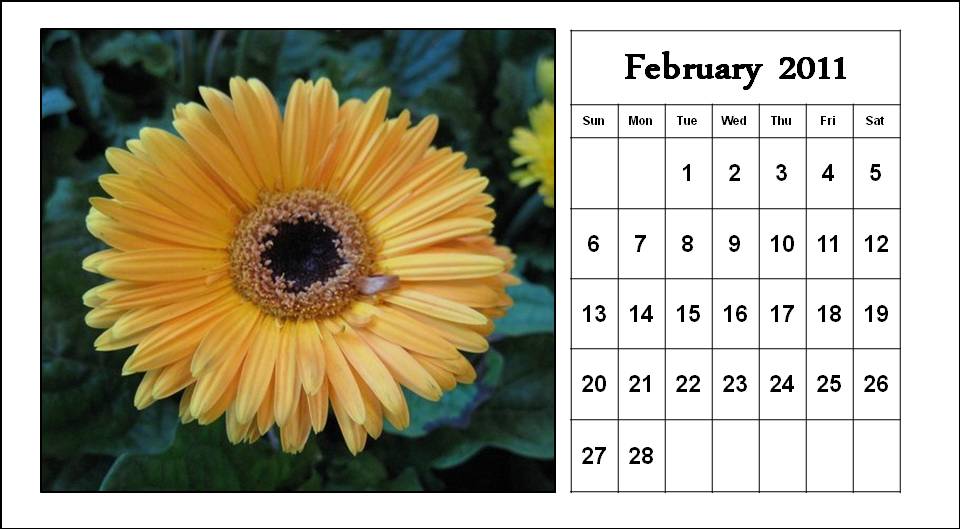 2011 calendar for february