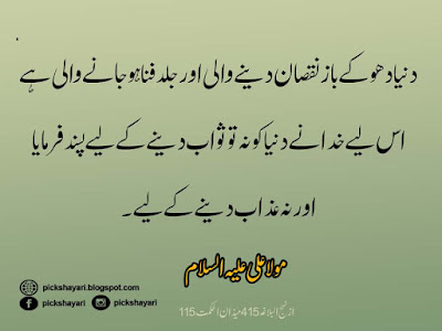 Hazrat Ali Quotes in Urdu