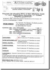 S_maichele gatti PR 30-06-2011_01