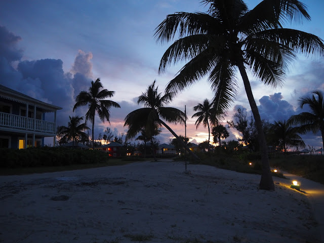 coucher soleil palmiers