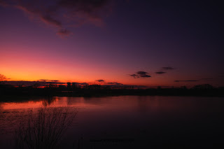 Wildlifefotografie Naturfotografie Sonnenuntergang Lippeaue Olaf Kerber