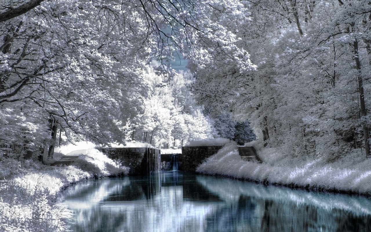 Winter Season - Winter Scenery | Hd Desktop Wallpaper