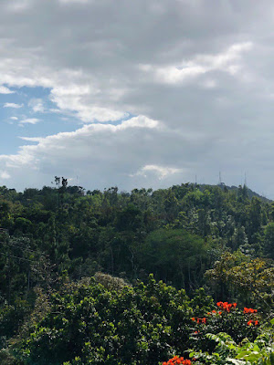 vistas-casa-ceiba-puerto-rico-aeroyoga-institute