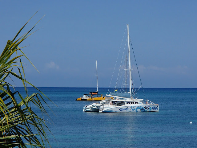 Negril sailboats