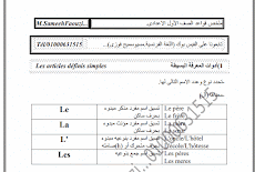 ملخص قواعد اللغة الفرنسية للصف الاول الاعدادى الترم الاول 2018 مسيو سميح فوزى