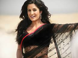  Katrina Kaif HD Wallpapers with the hot and sexy pictures of the actress. ... Brother Ki Dulhan (2011), Ek Tha Tiger (2012) 