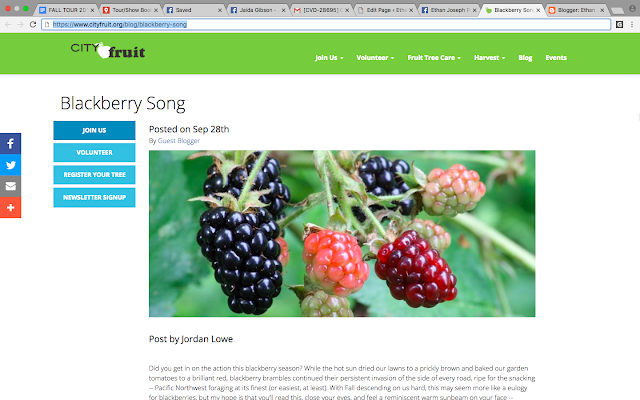  Blackberry Song Review 