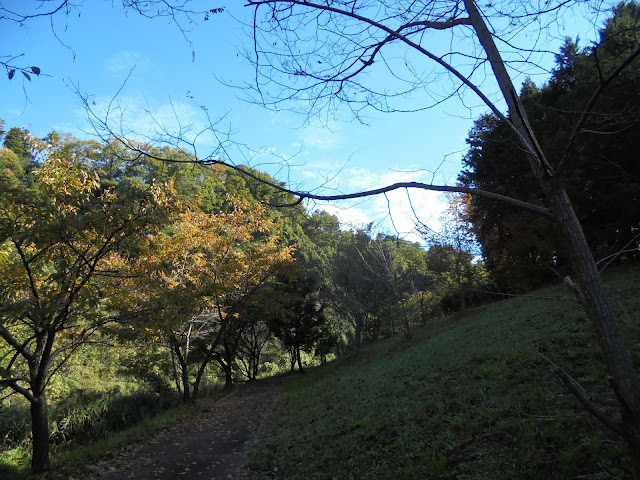 別所川渓流植物園