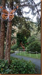 IMG_20161203_153742068