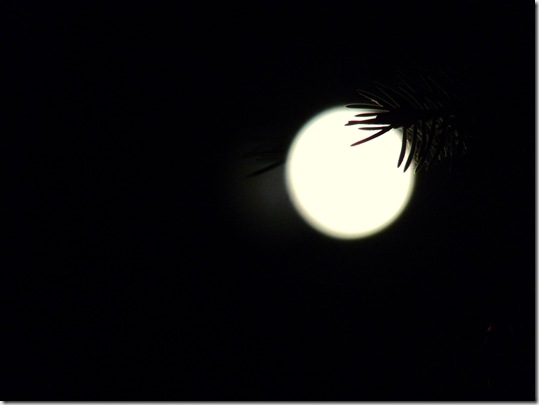 Vollmond 19.03.11 (2)
