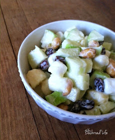 Quick and easy apple salad recipe. Great for simple servings or for large family meals. Fresh apple salad using apples, raisins, bananas, marshmallows, peanuts, and Miracle Whip.