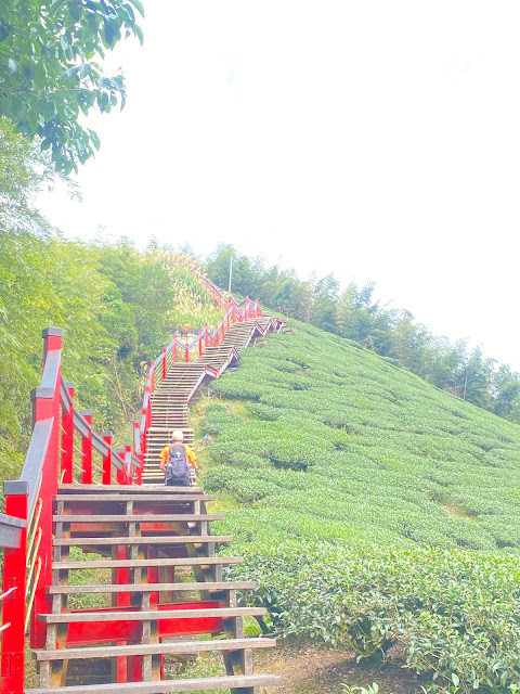 二尖山步道