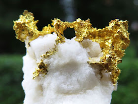 electrum gold nugget in quartz